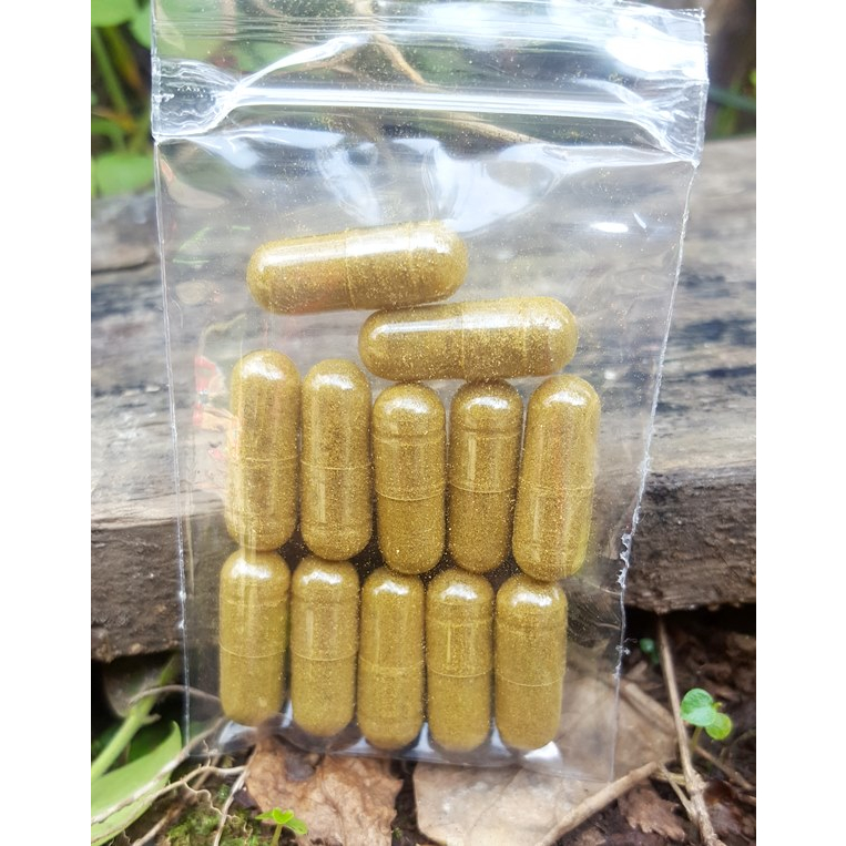12 kapsul ayam kuning - kapsul ayam sakit kuning - obat ayam sakit kuning - mantap