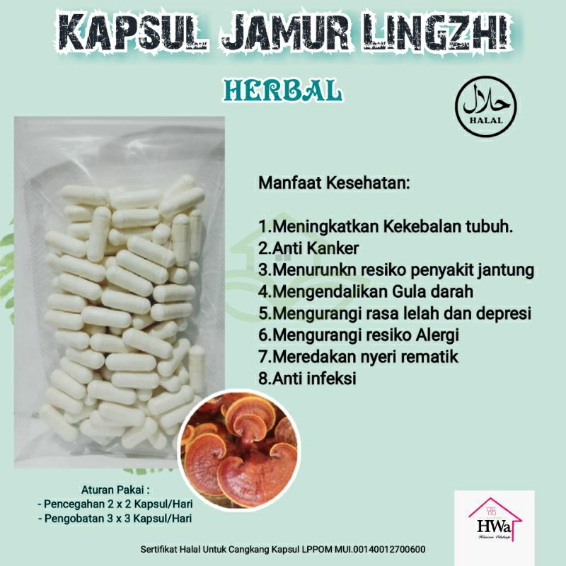 

Kapsul Ekstrak Jamur Lingzhi Herbal isi 100 Kapsul
