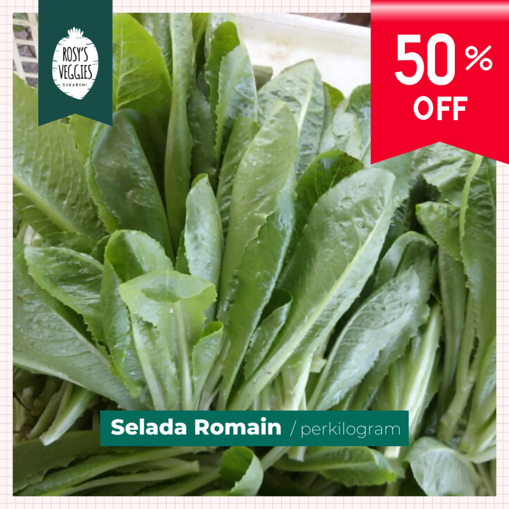 

Selada Romain Organik | 250 gram