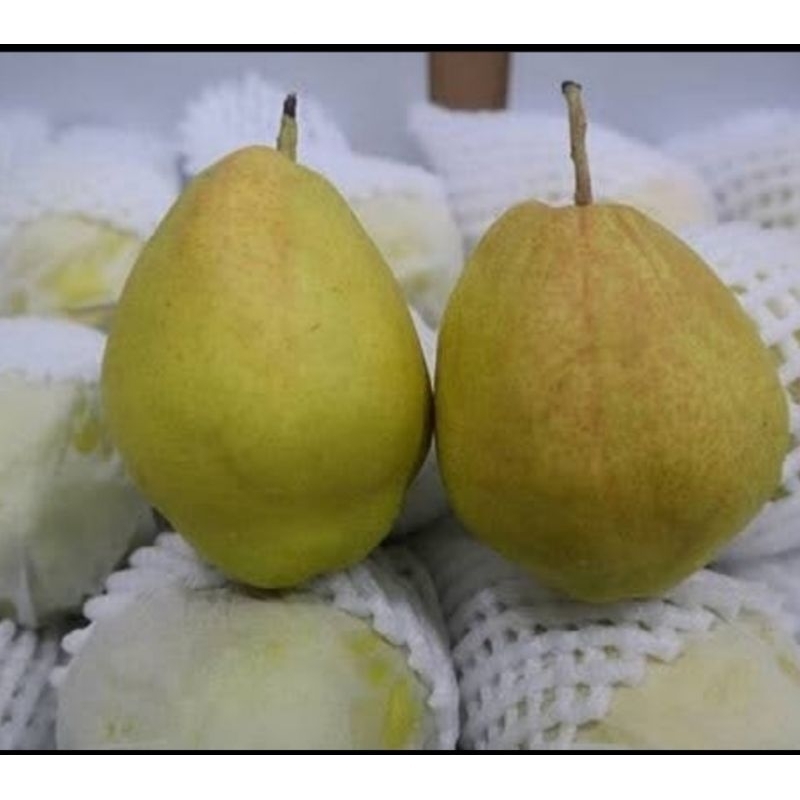 

Pear Xianglie 1 Kg