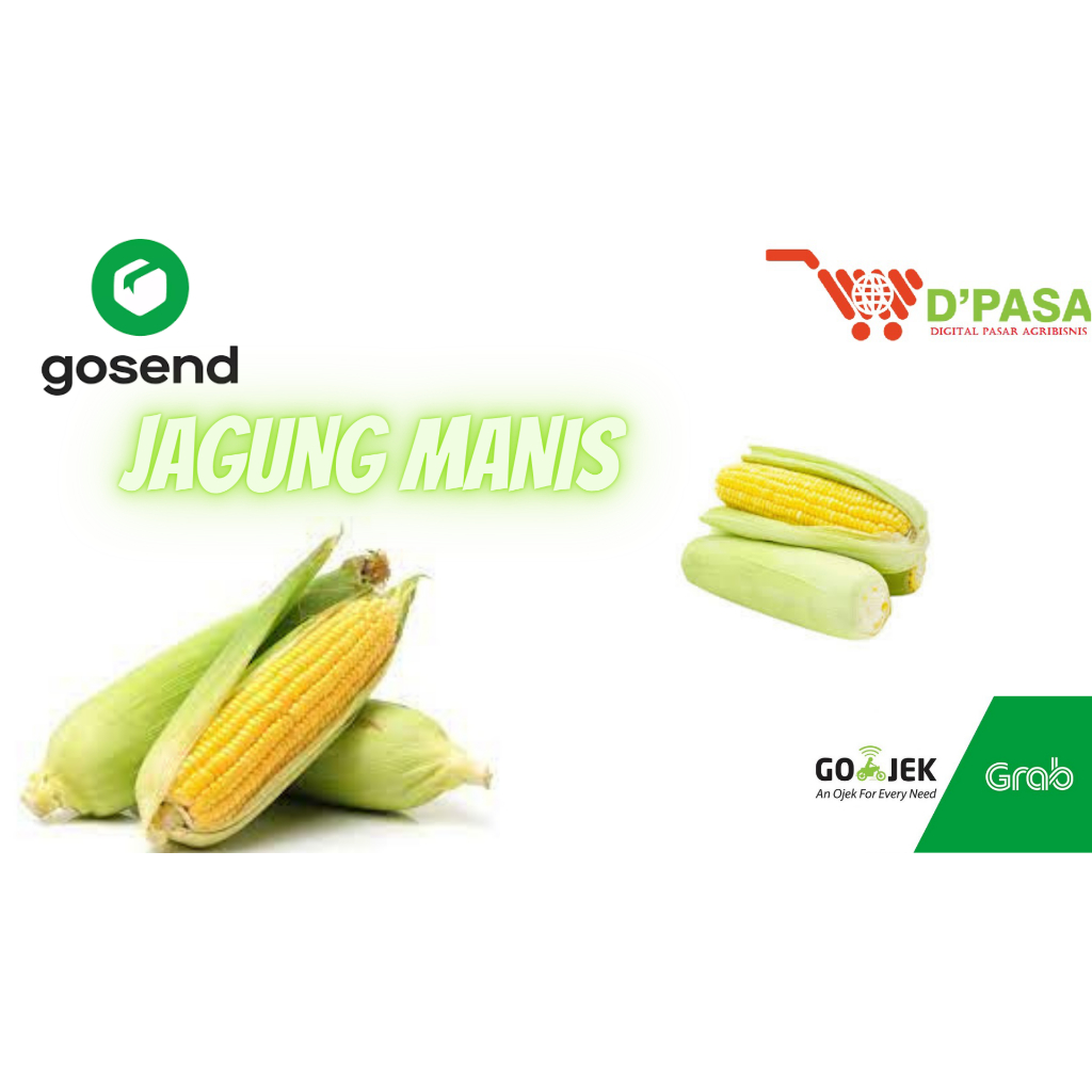 

KIRIM INSTAN Jagung Manis 500 - 600gr
