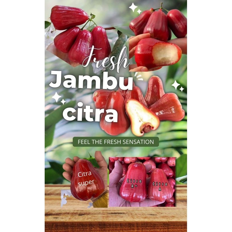 

PROMO1KG!Jambu air citra 1kg |buah segar bandung|nuri fruits|jambu air manis|nuri fruits|buah bandung|jambu air demak