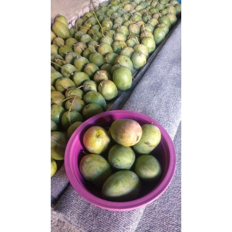 

Buah Mangga Madu