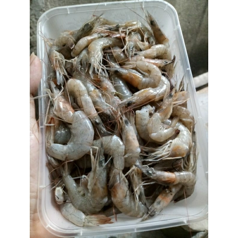 

udang sedang ±300gr /pack