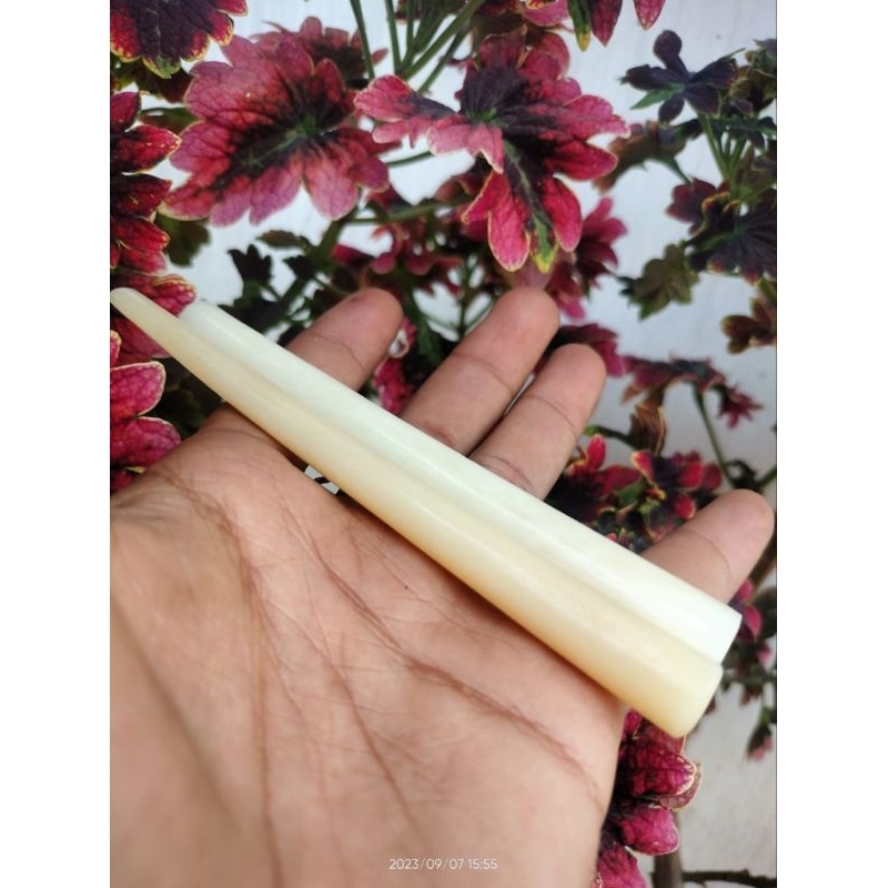 once tulang sapi panjang 12 cm