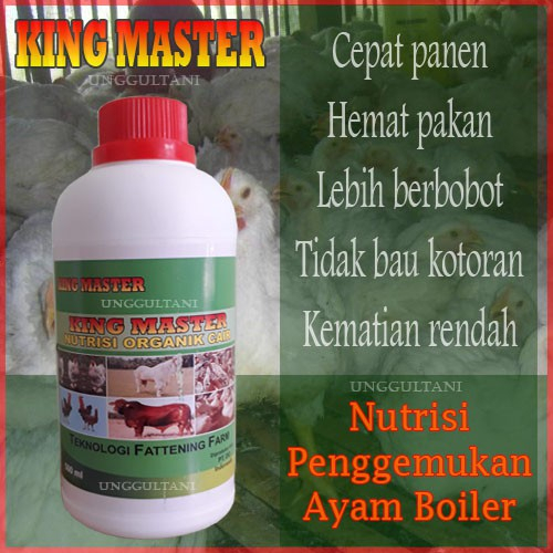 King Master Nutrisi Penggemukan Ayam Broiler Potong Pedaging