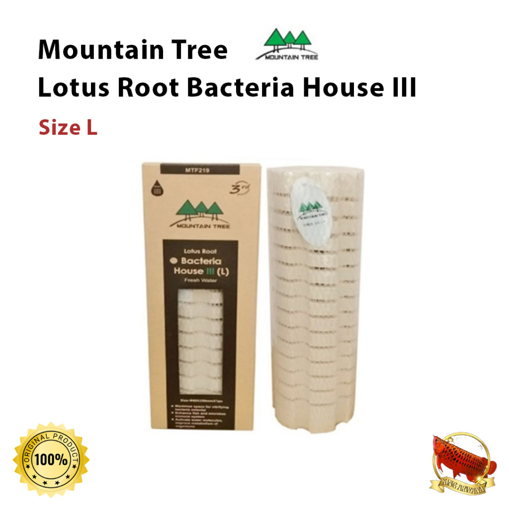 Mountain Tree Lotus Root Bacteria House III Size L Rumah Bakteri Media