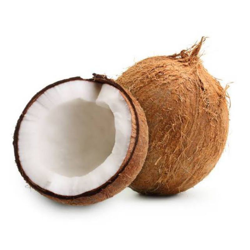

kelapa per butir
