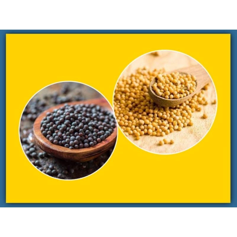 

Biji sawi kuning / Biji sawi hitam / yellow mustard seed / Black mustard seed