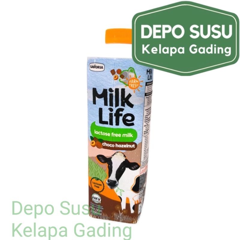 

Milk Life 1L Lactose Free Chocolate Hazelnut Susu Coklat Bebas Laktosa 1 liter Milklife