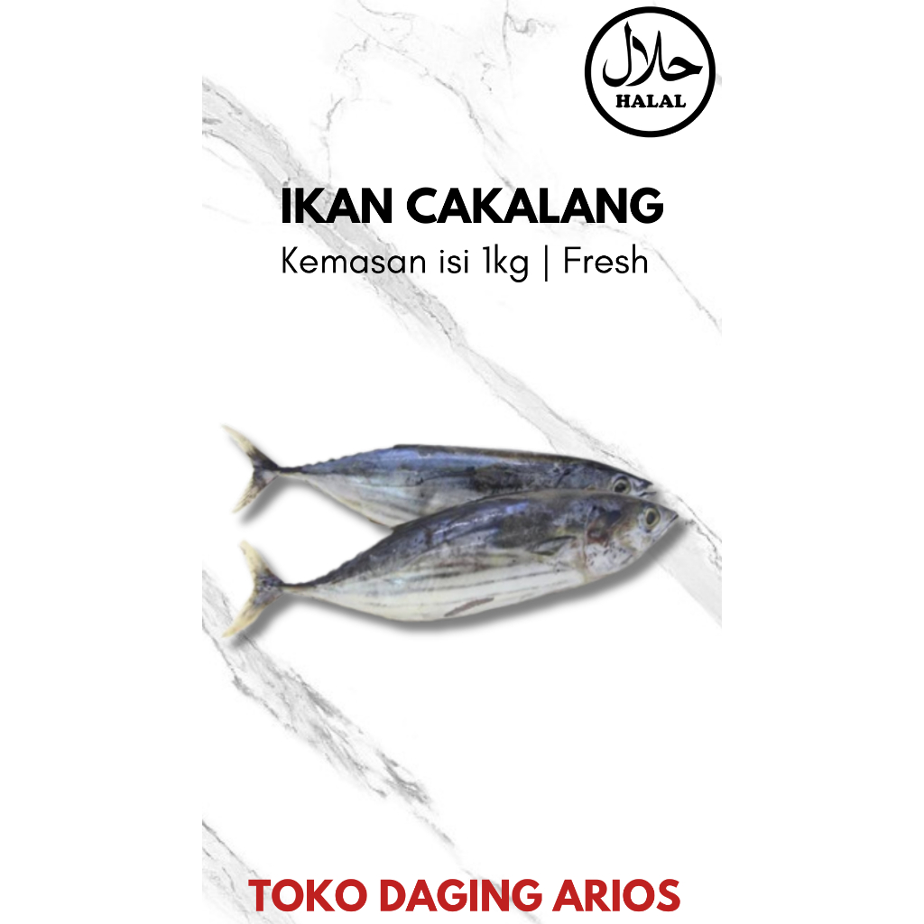 

Ikan Cakalang 1kg Ikan Segar Dan Berkualitas