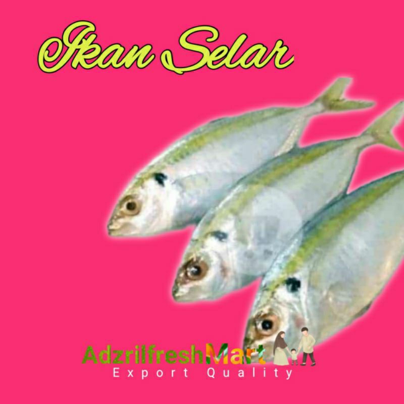 

IKAN SELAR ( 500gr )