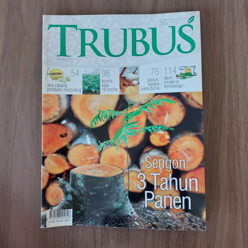 

TRUBUS SENGON : 3 TAHUN