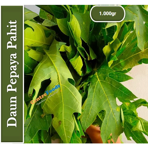 

Daun Pepaya Pahit Segar - Daun Pahit Pepaya Fresh | 1.000gr [ Harga Per KG ]