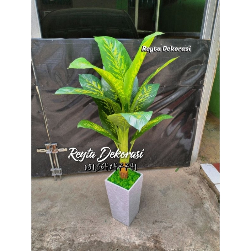aglonema sri rejeki Pohon beras tumpah 120cm - pohon Talas Besar Hias Plastik Artficial Dekorasi