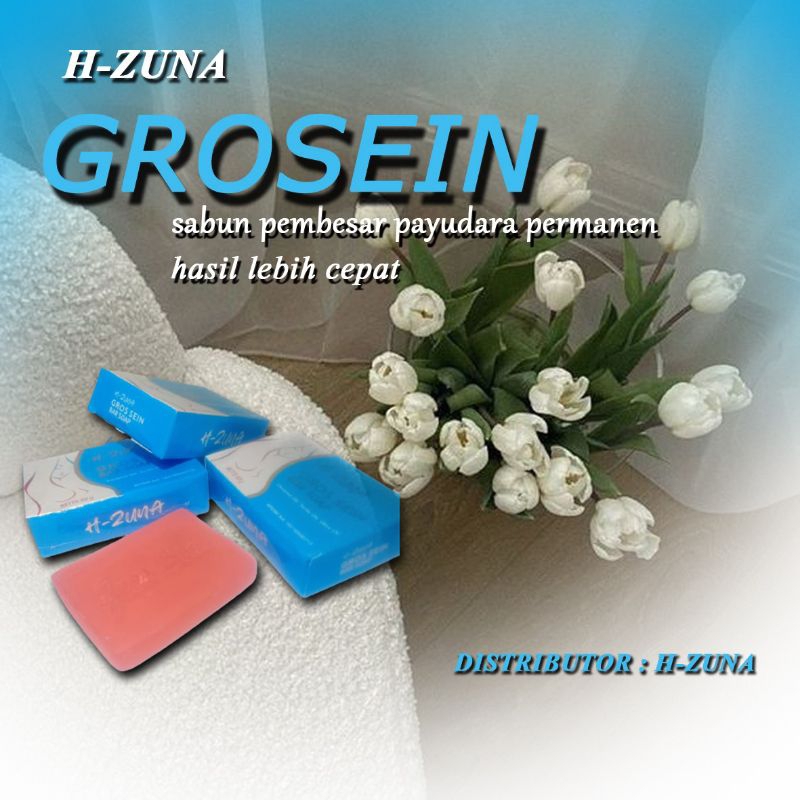 GROS SEIN BAR SOAP SABUN PEMBESAR PAYUDARA CEPAT PERMANEN BPOM ASLI PENGENCANG PAYUDARA YANG KENDUR 