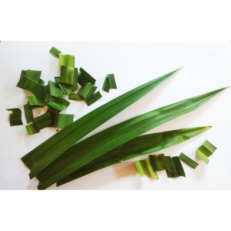 

Daun pandan wangi 5K dapat 10 lembar