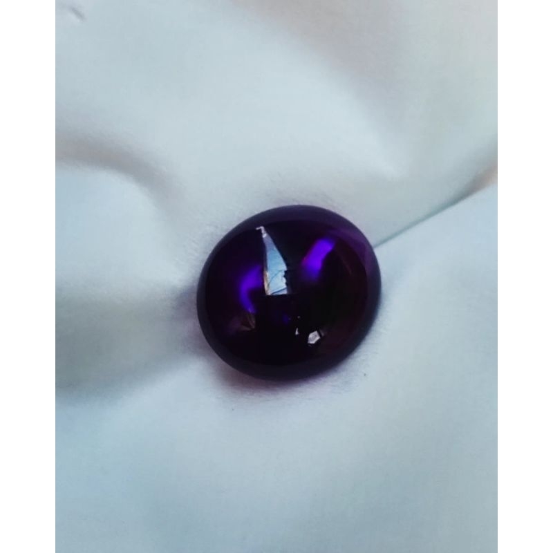 KECUBUNG UNGU BENTOL, KECUBUNG UNGU TUA, KECUBUNG UNGU WULUNG