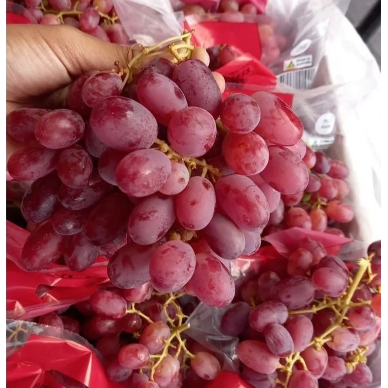 

Anggur Merah Crimson Seedless 1Kg