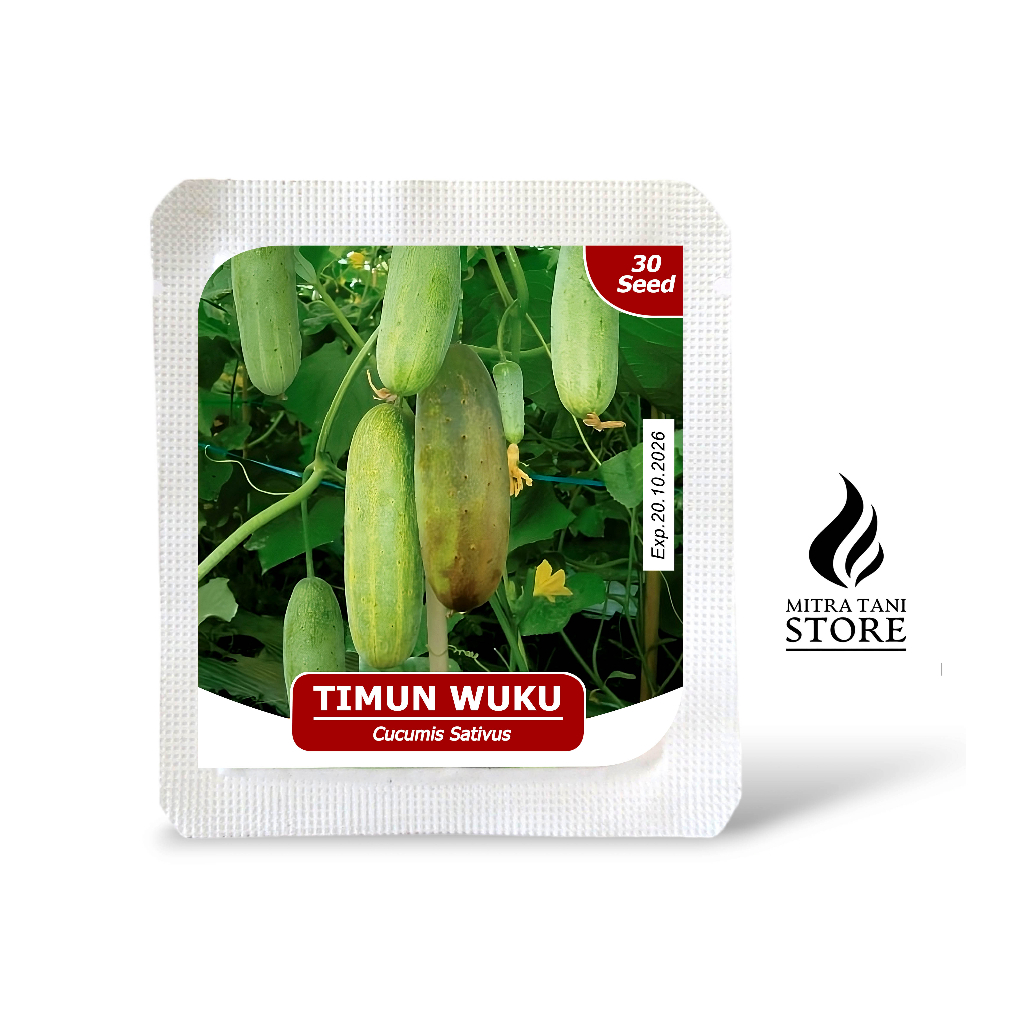 Benih Timun Wuku Timun Rujak Home Garden Seed 30 Butir