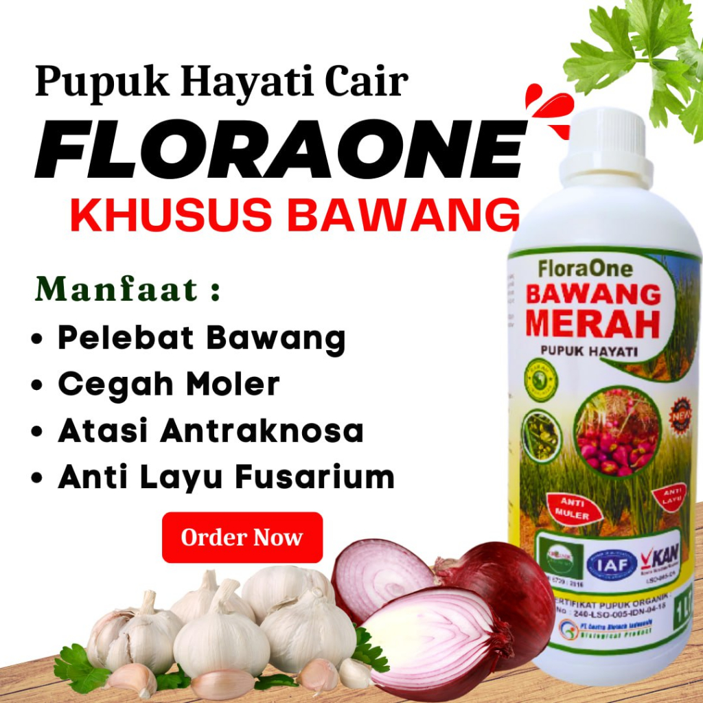 Fungisida Pengendali Moler Layu Fusarium, Perlindungan Pupuk Bawang Merah dan Bawang Putih Menguning