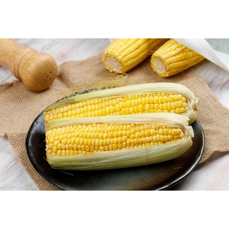 

Jagung Manis 1pcs