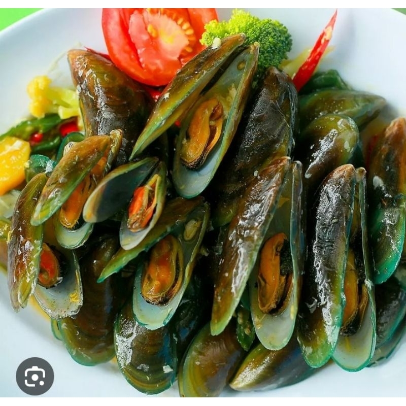 

kerang hijau fresh / frozen 1kg