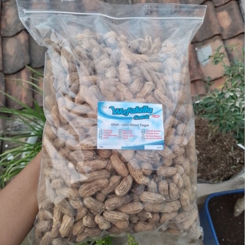 

Kacang kulit tawar sangrai 1 kg