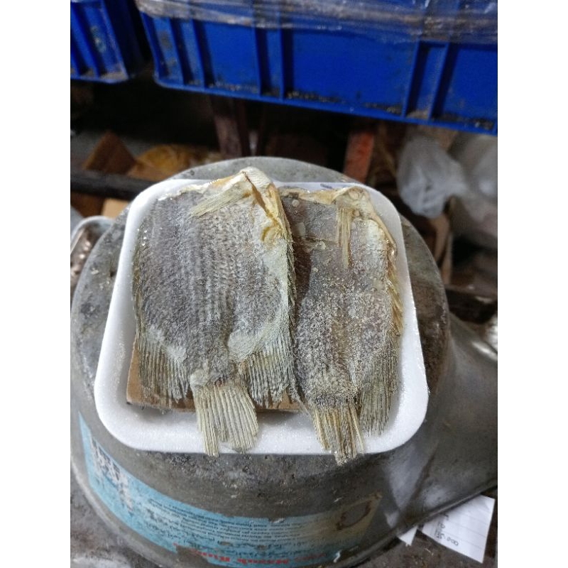 

ikan asin tambak/100g