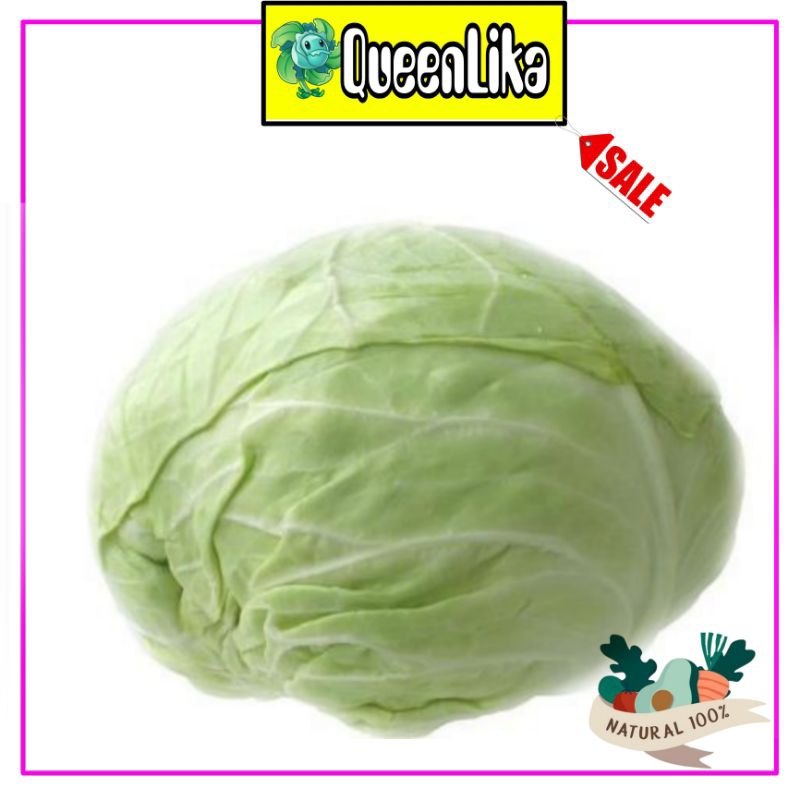 

kubis putih/kol segar ¹kg