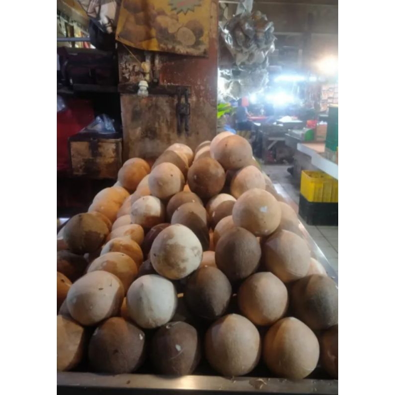 

kelapa utuh / parut 1 buah