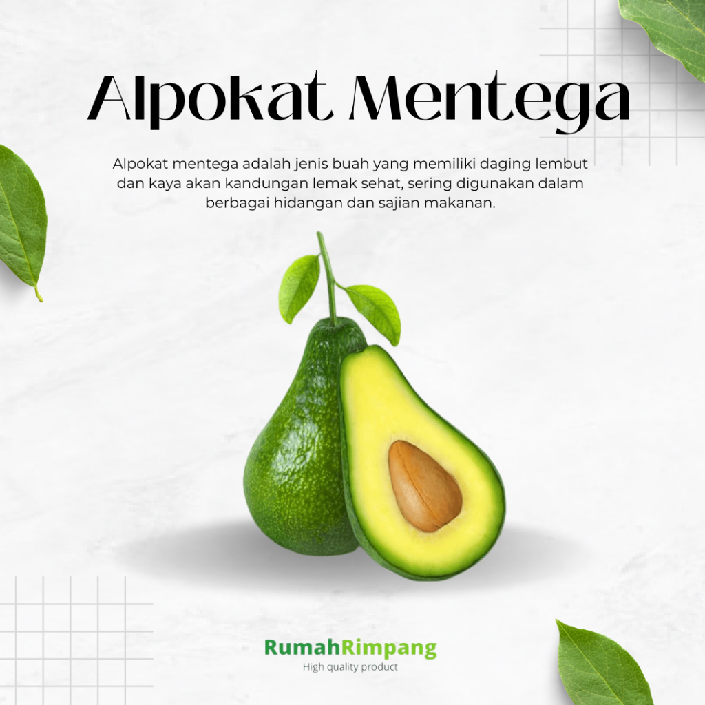 

[BISA INSTAN] BUAH FRESH - ALPUKAT MENTEGA BERAT 900 Gr - 1 Kg