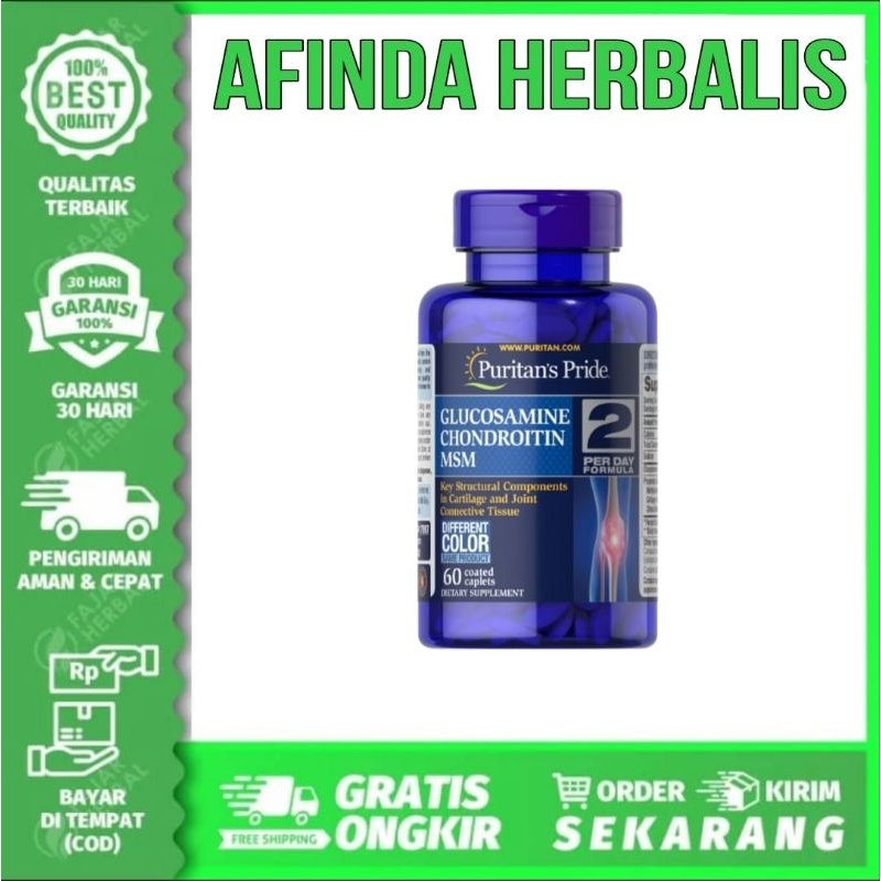 Puritan Pride Double Strength Glucosamine Chondroitin MSM