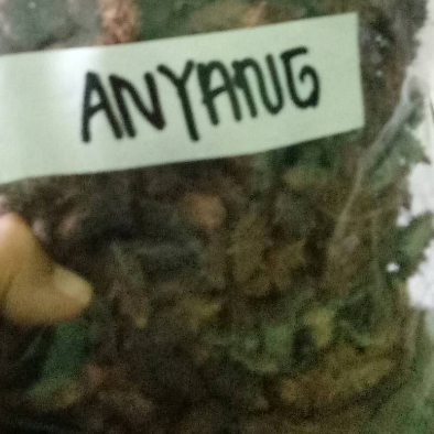 

HERBAL JAMU TERMURAH ANYANG-ANYANG- 1 KG