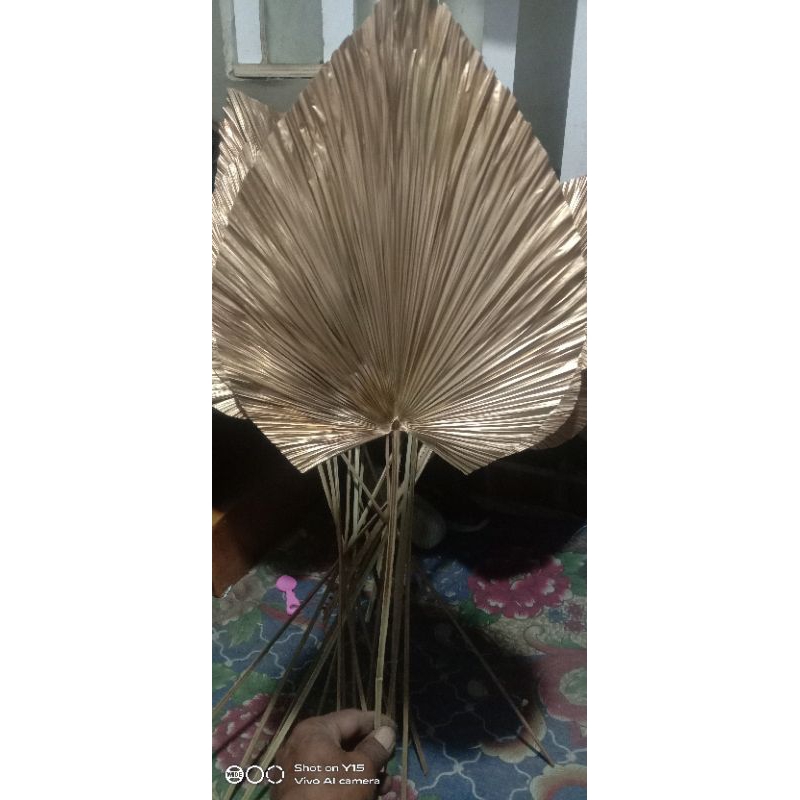 daun palem gold dekorasi super jumbo