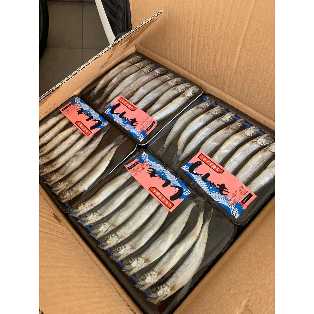 

Ikan Shishamo Full Telur