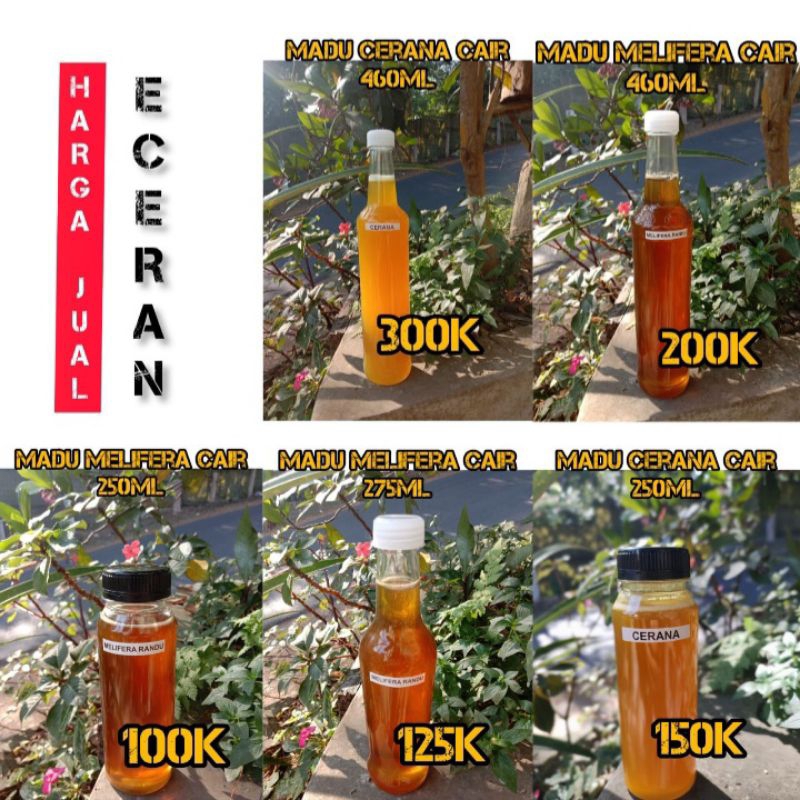 

Madu Malifera Cair 100% madu asli original