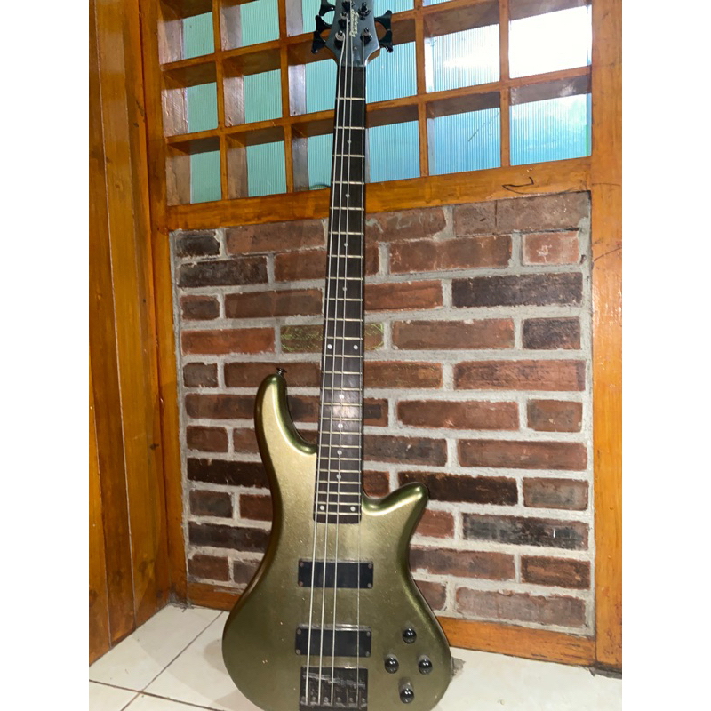 Bass Schecter