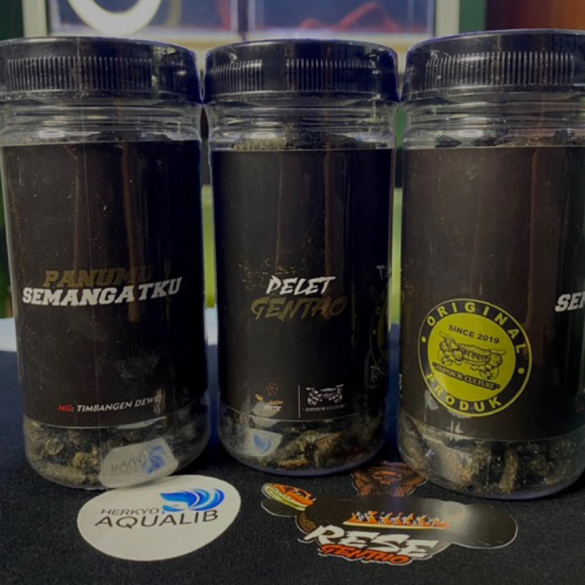 Pelet Gentho By Tobil Panumu semangatku