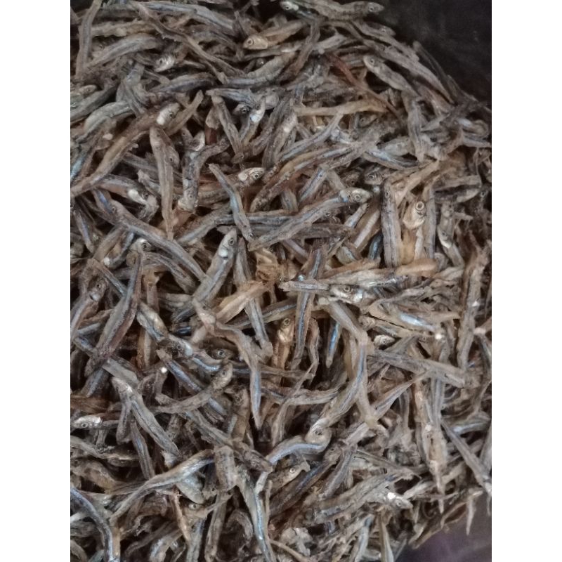 

Ikan Bada Belang 100 gram