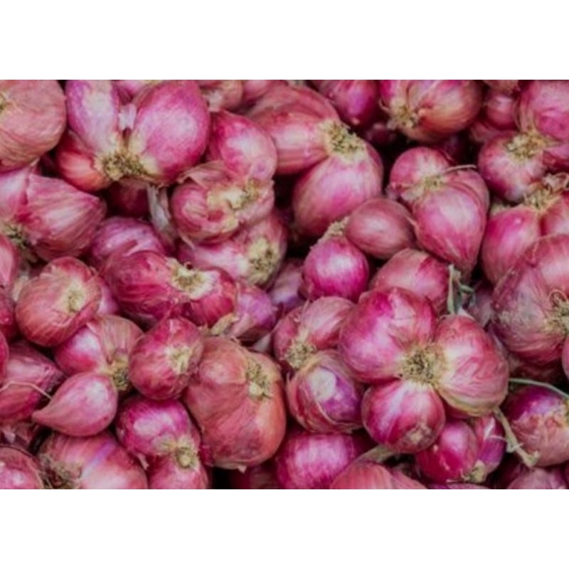 

bawang merah lokal 1kg