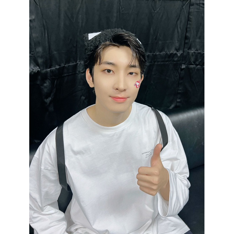 wonwoo ray horanghae