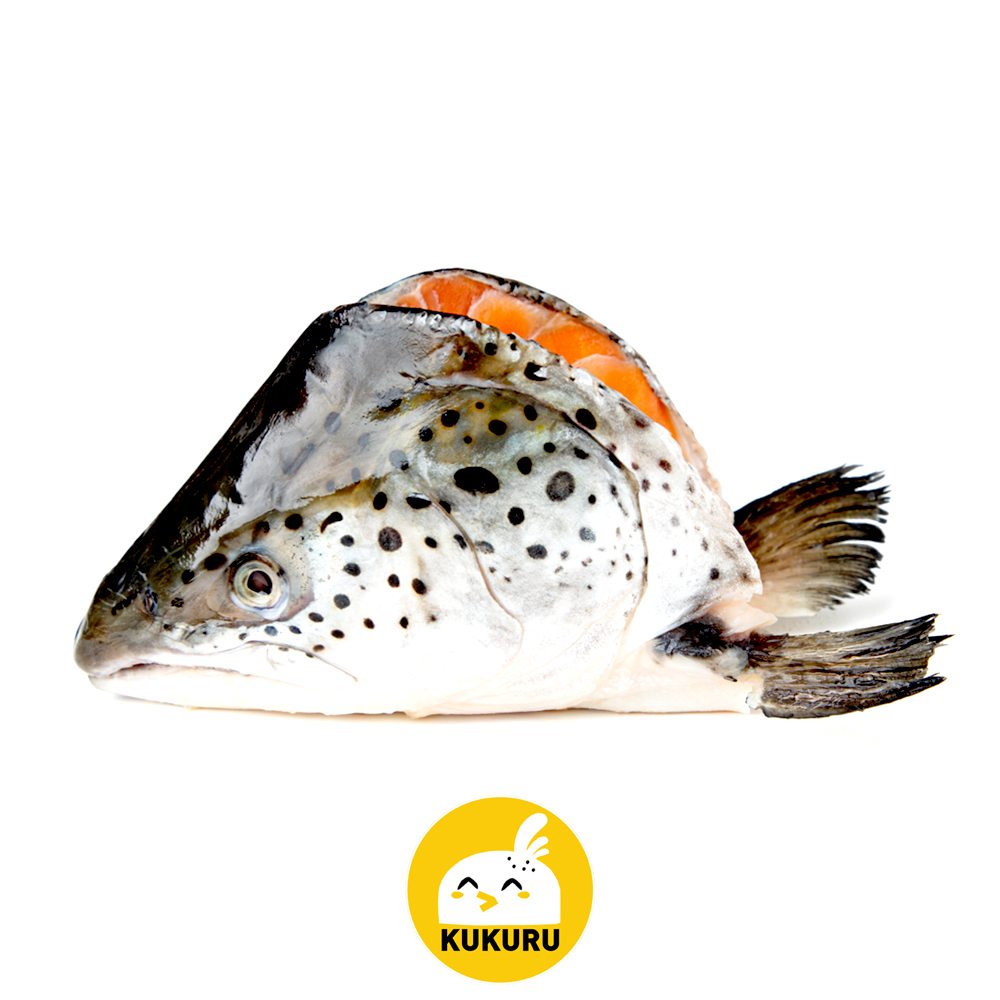 

KEPALA IKAN SALMON PREMIUM / TASMAN SALMON FISH HEAD (400-500 GRAM)