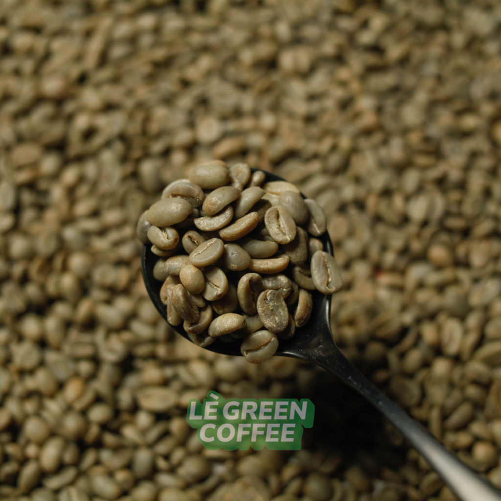 

IJEN KENYAN WASH
