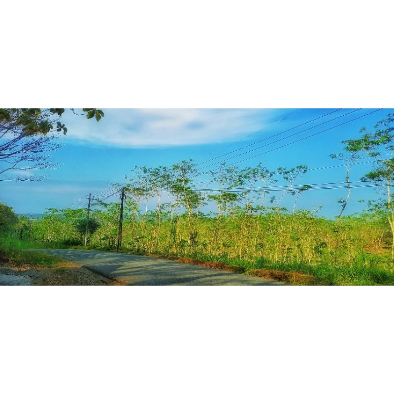 Foto Pemandangan Alam/Gunung/Perbukitan/Sawah/Jalan