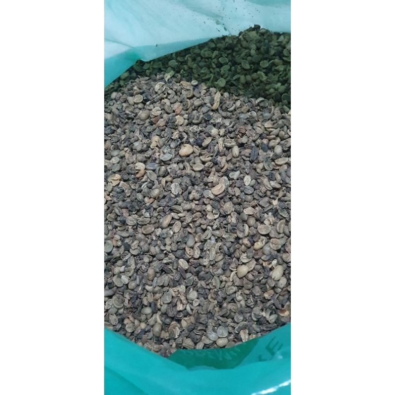 

GREENBEAN ARABICA SORTIRAN/LOW GRADE/DEFECT cabutan benar kopi (SUMATERA)