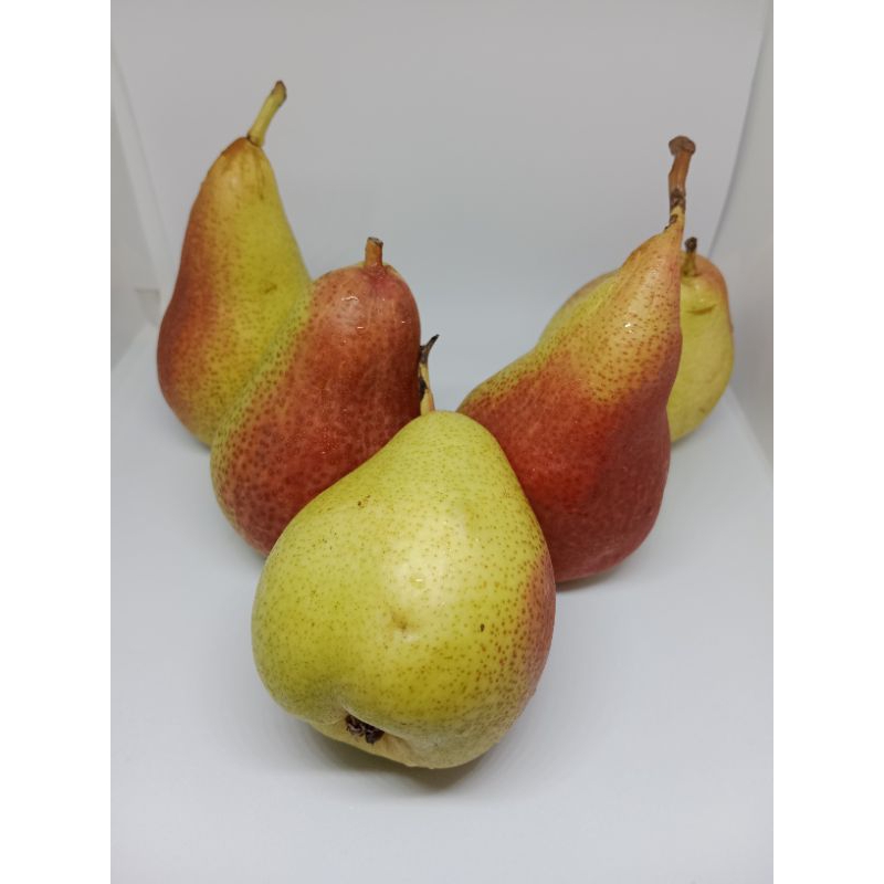 

PEAR FORELLE[800 GR/PACK]