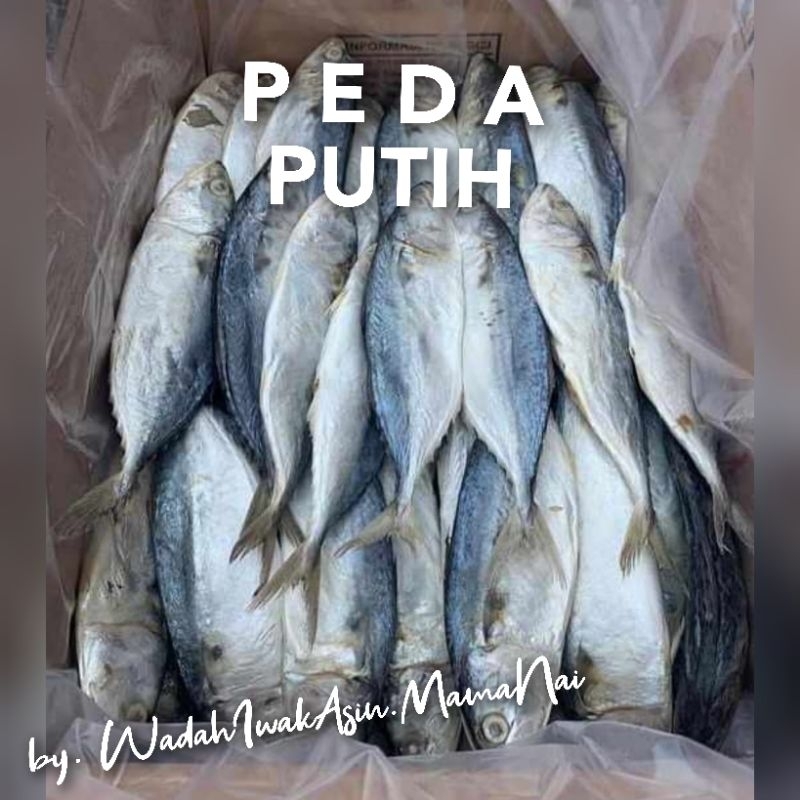 

ikan asin murah ikan asin peda putih murah