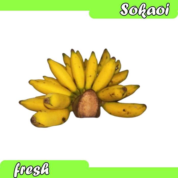 

BUAH PISANG MAS BERLIN