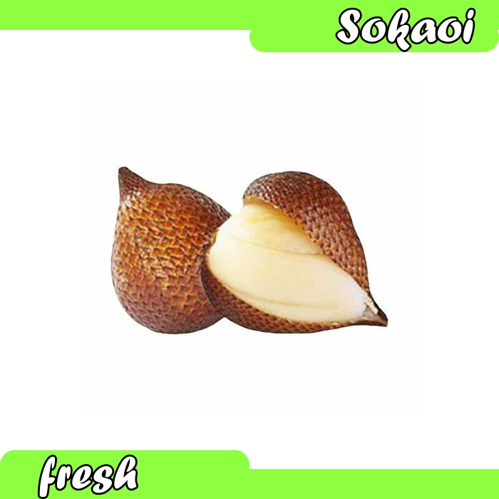 

BUAH SALAK BALI SEGAR